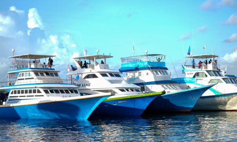 މަސްދޯނީގައި ލޮނުފެނުން މަސް ފިނިކުރާ ނިޒާމު ހަރުކުރަން ހުޅުވާލައިފި