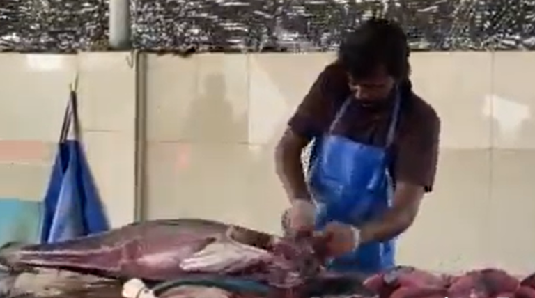 މަސްކެނޑުގެ މުބާރާތެއް ބާއްވަނީ، ބައިވެރިވާން މިހާރު އޮތީ ހުޅުވާލައިފައި