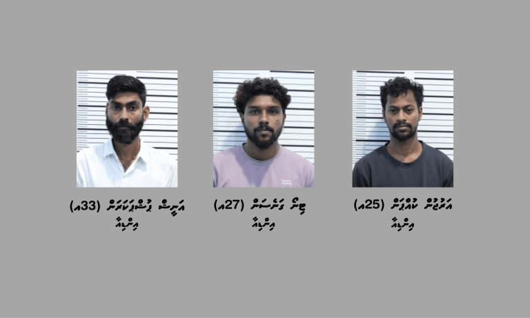 މަސްތުވާތަކެތި ހޯދައި ތިން ބިދޭސީއަކު ހައްޔަރުކޮށްފި