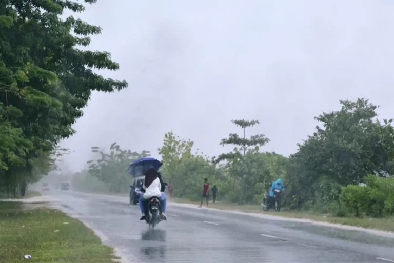 މެދުރާއްޖެތެރެއާ އުތުރަށް މޫސުން ގޯސް، ގަދަވަޔާއެކު ބޯކޮށް ވާރޭވެހޭނެ