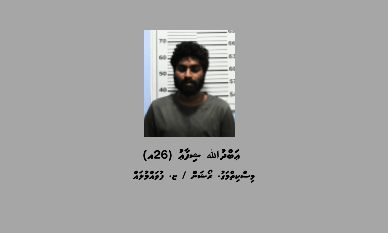 ގިނަ އަދަދެއްގެ މަސްތުވާތަކެއްޗާއެކު ދެ މީހަކު ފުވައްމުލަކުން ހައްޔަރުކޮށްފި