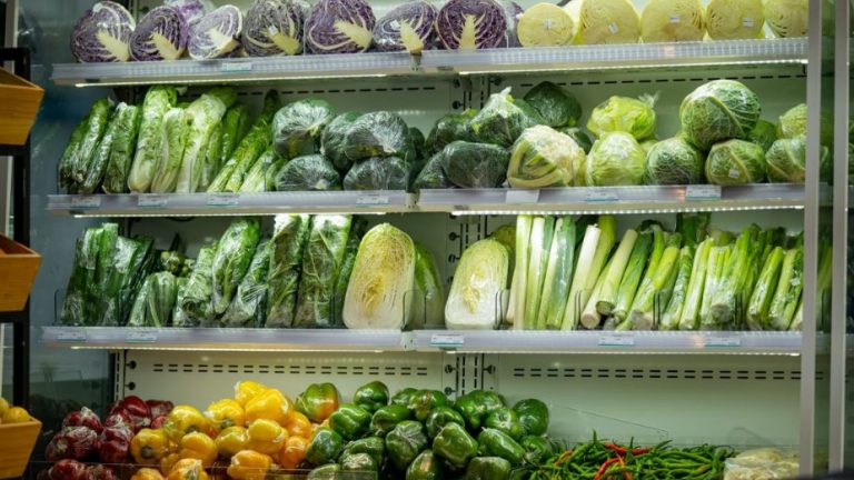 ރޯދަމަހު އަސާސީ ބާވަތްތައް ހުސްނުވެ އެސްޓީއޯއިން ލިބޭނެ ކަމުގެ ޔަގީންކަން