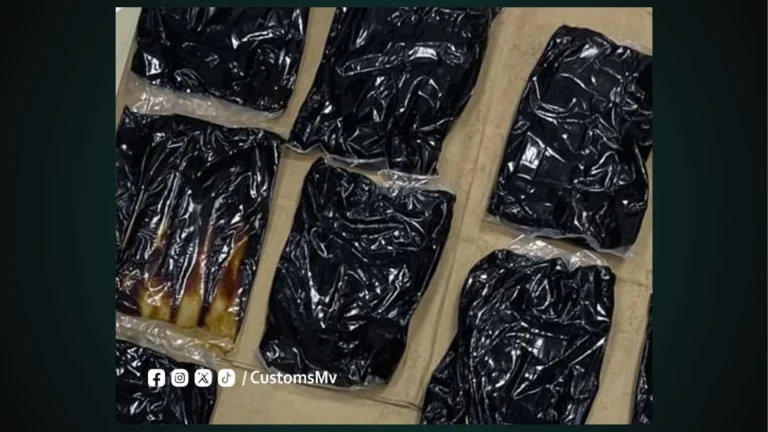 ކަނޑުމަގުން އެތެރެކުރަން އުޅުނު 36.43 ކިލޯގެ މަސްތުވާތަކެތި އަތުލައިގެންފި