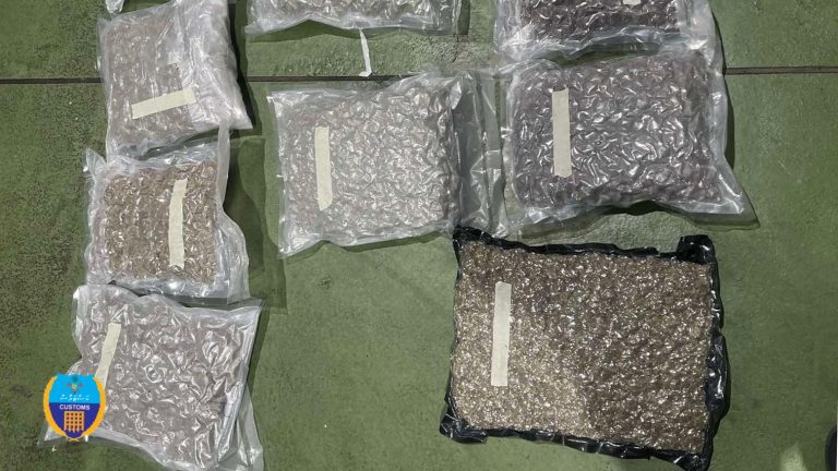 ރާއްޖެ އެތެރެކުރަން އުޅުނު 11 ކިލޯއަށްވުރެ ގިނަ މަސްތުވާތަކެތި އަތުލައިގެންފި