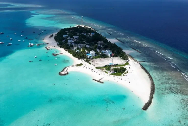 މޫދަށް އެރިއުޅެނިކޮށް އޮޔާދިޔަ ދެ ކުއްޖަކު ސަލާމަތް ކުރަން އުޅުނު މީހަކު ނިޔާވެއްޖެ