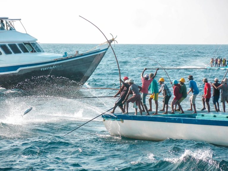ރާއްޖޭގެ ކަނޑުމަހުން ނަގާ ޓެކްސް ކަނޑާލަން އިނގިރޭސި ވިލާތުން ނިންމައިފި