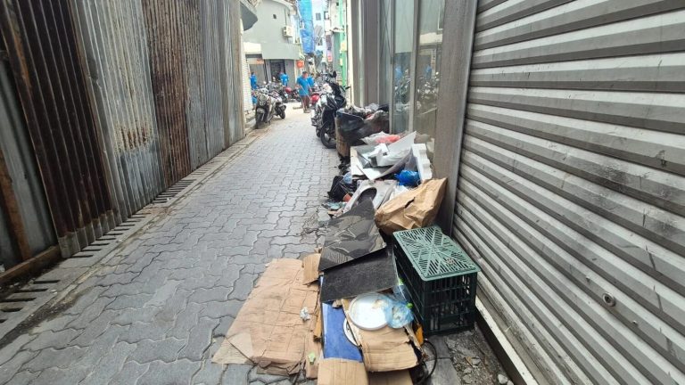 މާލޭގެ މަގުތަކަށް ބިދޭސީން ކުނިއުކާލާކަން ވަނީ ފާހަގަކުރެވިފައި: މާލެ ސިޓީ ކައުންސިލް
