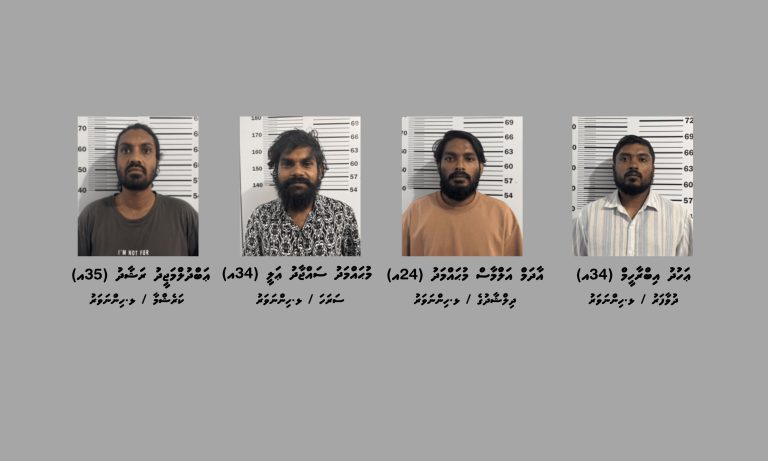 ހިންނަވަރުން ޑްރަގް ނެޓްވޯކެއް އަތުލައިގަނެފި
