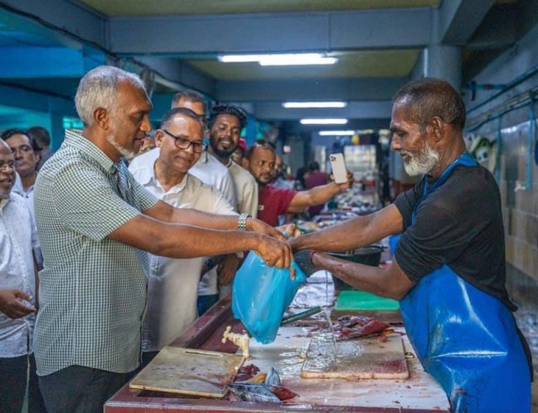 ކުންފުނިތަކުގެ މުވައްޒަފުން މަދުކުރުމުން މަސްވެރިކަމުގެ ސިނާއަތަށް ހެޔޮ އަސަރުކުރާނެ: ރައީސް