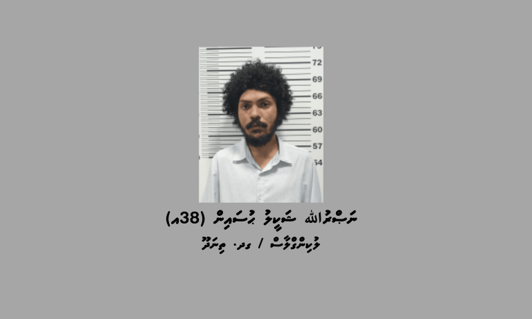 ވިނަރެސް ފުލެޓު ކަރަންޓު ފޮށިތަކަށް ގެއްލުންދިން މީހަކު ހައްޔަރުކޮށްފި