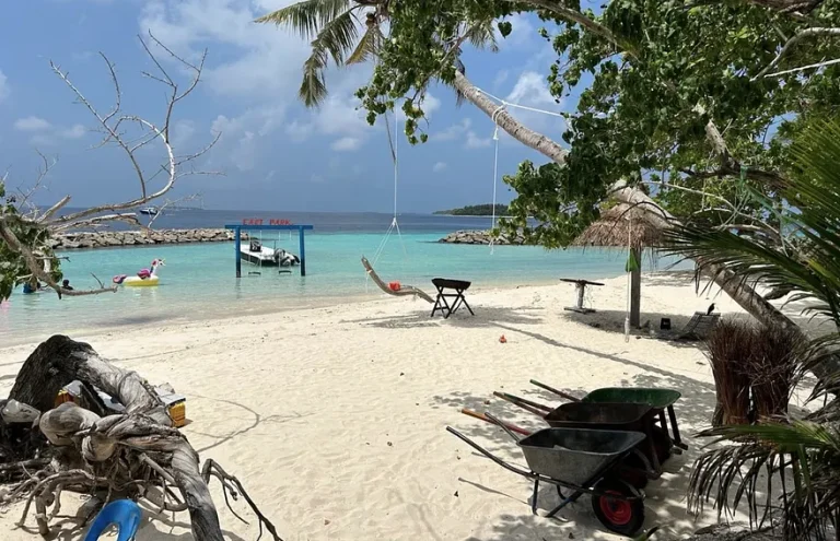 ކެންދޫ ސްކޫލު ސްކައުޓް ކޭމްޕްގެ ބޭނުމަށް ގެންގުޅުނު ގިނަ ތަކެތި ވަގަށް ނަގައިފި