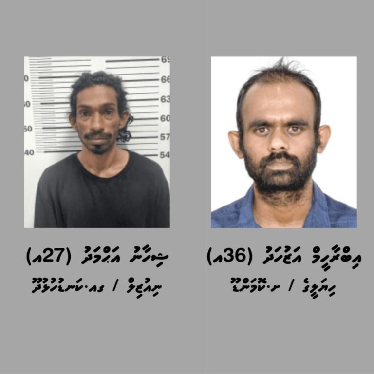 ޓެރަރިޒަމް ގެ މައްސަލައެއްގައި ދެ މީހަކު ހޯދަނީ