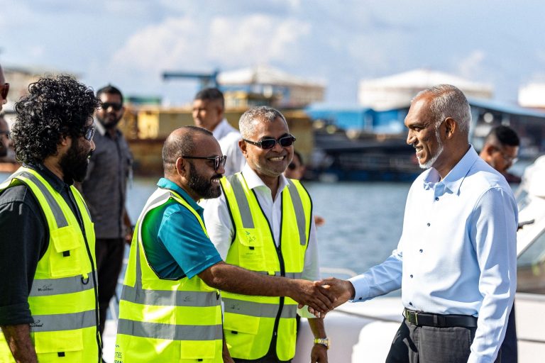 ޒަހިއްޔާ ރައީސްއަށް ކުރި ތުހުމަތުތައް މުޖުތަބާ ދޮގުކުރައްވައިފި