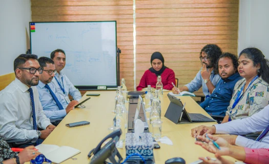 ފާމަސިސްޓުން ތަމްރީނުކުރުމަށް ސްޓޭޓްފާމާއާއި ވިލާ ކޮލެޖުން ގުޅިގެން މަސައްކަތްކުރަން ނިންމައިފި