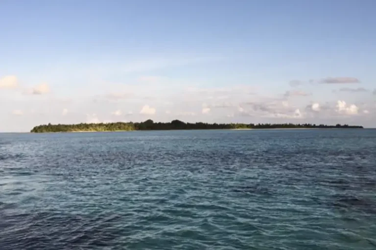 ބައި ގަރުނުކުރިން ގެއްލުނު މީހަކު ދުނިޔޭގައި ހުރިތޯ ބަލަން އިއުލާންކޮށްފި