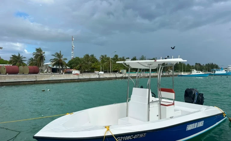 ފަރޮޅުގެ ނާޒުކު ތިމާވެށި ބެލެހެއްޓުމަށް ޚާއްޞަ އުޅަނދެއް ތަޢާރަފުކޮށްފި