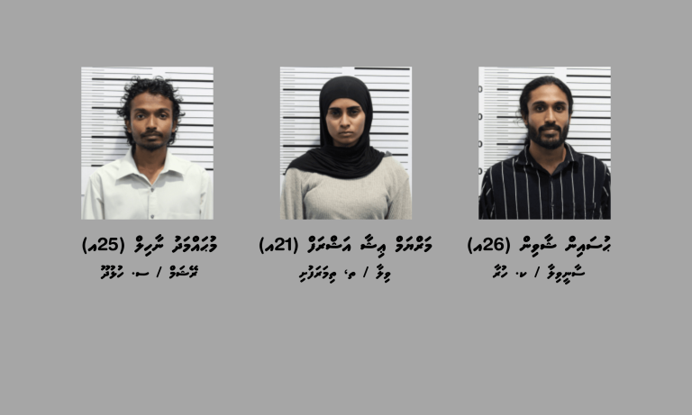 މަސްތުވާތަކެތީގެ މައްސަލައެއްގައި 21 އަހަރުގެ އަންހެނަކާއި ދެ ފިރިހެނުން ހައްޔަރުކޮށްފި