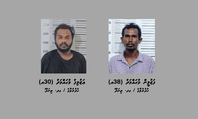 ތިނަދޫއިން ޑްރަގު ނެޓްވޯކެއްގެ ދެ ބޮޑުން ހައްޔަރުކޮށްފި