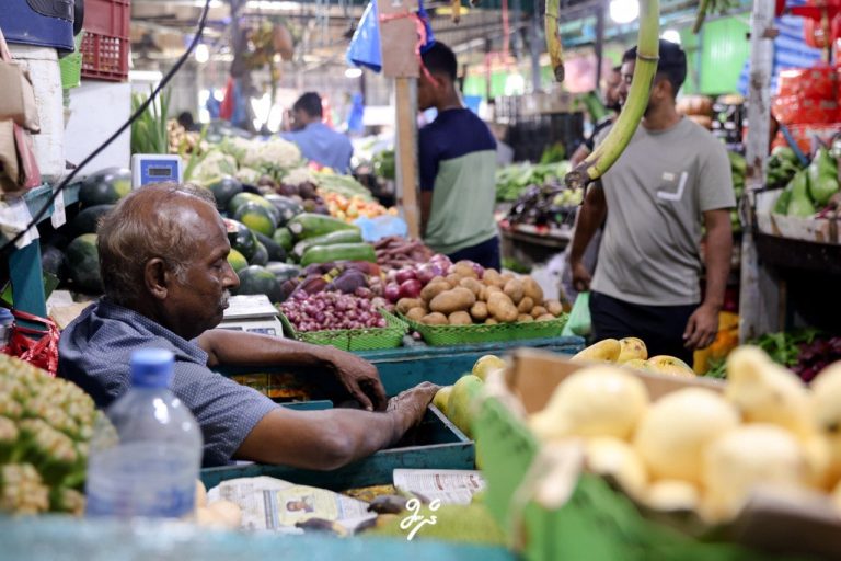 އައު މާރުކޭޓް ކޮމްޕްލެކްސް އަޅާ ބިން މާދަމާގެ ނިޔަލަށް ހުސްކުރަން އަންގައިފި