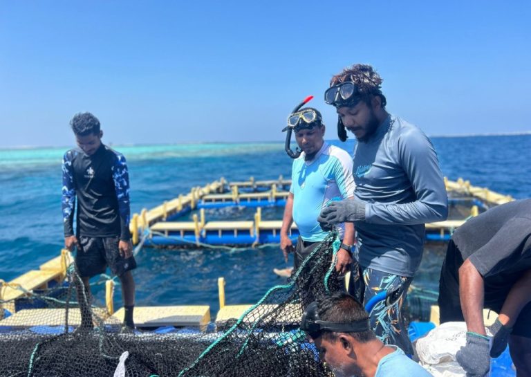 މެރިން ހެޗަރީ ސްކިލްސް ޑިވެލޮޕްމަންޓް ޕްރޮގްރާމްގެ 4ވަނަ ބުރަށް ހުޅުވާލައިފި